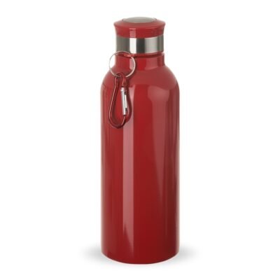 garrafa inox 700ml