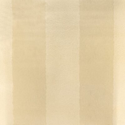 Papel de Parede