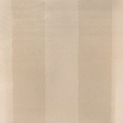 Papel de Parede