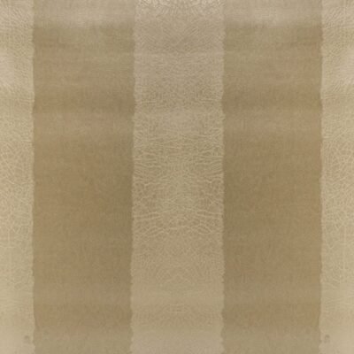 Papel de Parede