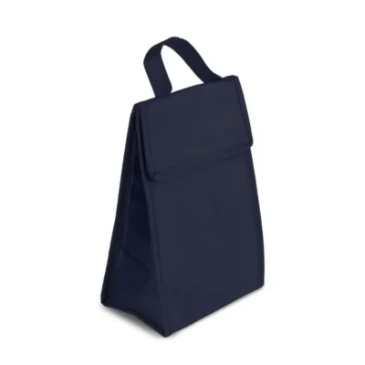 Bolsa Térmica em TNT 80g/M² - Azul - 27x17x10,5cm personalizada com logo