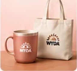 wyda dt maes