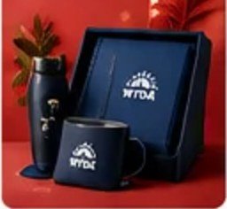 wyda dt natal