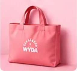 wyda dt outrosa